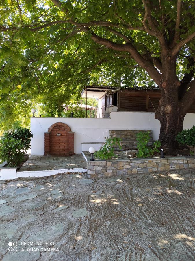 Zoe Apartment Agios Dimitrios  Ngoại thất bức ảnh